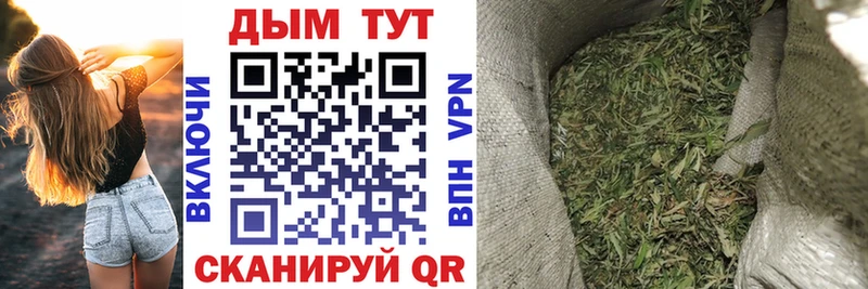Купить где  Бавлы  Канабис VHQ 
